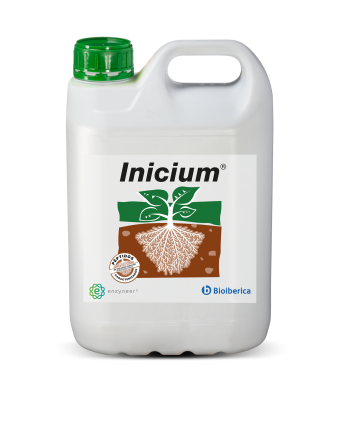 INICIUM - 5 L