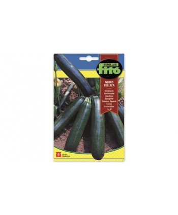 SB CALABACIN BLACK BEAUTY 