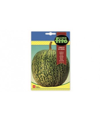 SB CALABAZA CABELLO DE ANGEL