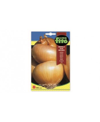 SB CEBOLLA AMARILLA PAJA VIRTUDES