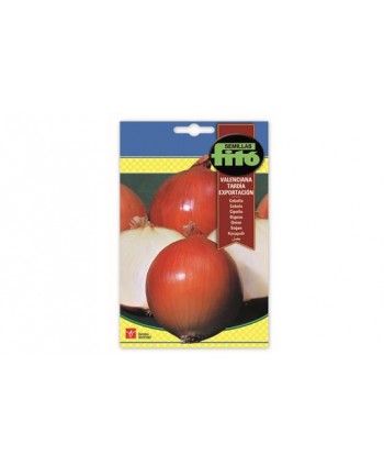 SB CEBOLLA VALENCIANA TARDIA EXPORTACION