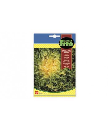 SB ESCAROLA CABELLO DE ANGEL