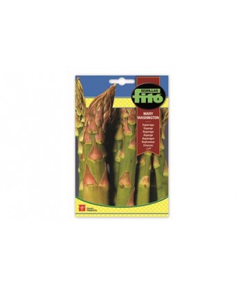 SB ESPARRAGO MARY WASHINGTON