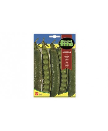 SB GUISANTE ALDERMAN