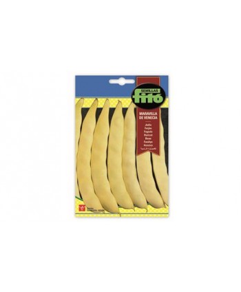 SB JUDIA MARAVILLA DE VENECIA