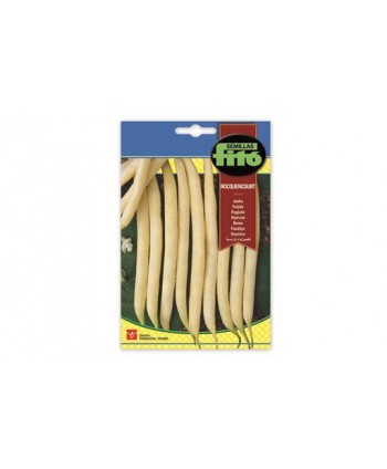 SB JUDIA ROCQUENCOURT