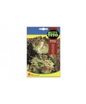 SB LECHUGA MARAVILLA DE VERANO