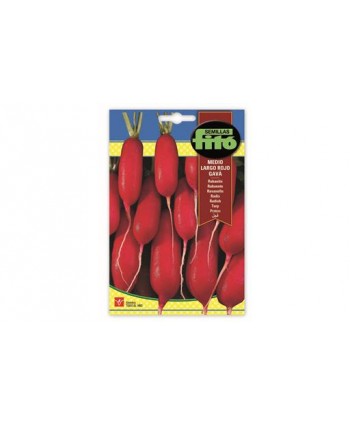 SB RABANITO DATIL ROJO GAVA