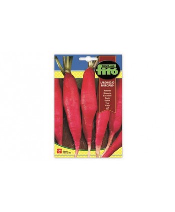 SB RABANITO LARGO MURCIANO