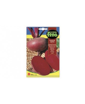 SB REMOLACHA DE MESA PLATO DE EGIPTO