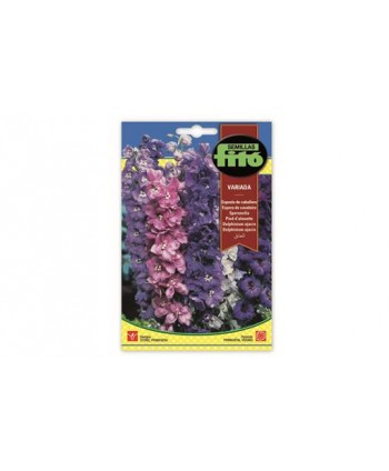 SB ESPUELA DE CABALLERO VARIADA