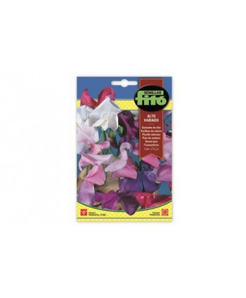 SB GUISANTE DE OLOR ALTO VARIADO