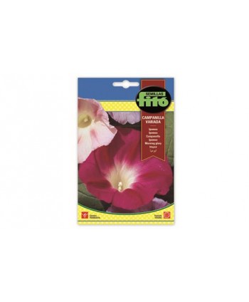 SB IPOMEA CAMPANILLA VARIADA