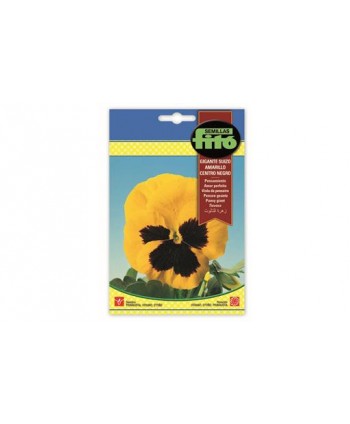 SB PENSAMIENTO GIGANTE SUIZO AMARILLO CENTRO NEGRO