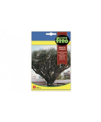 SB DRAGO DE CANARIAS