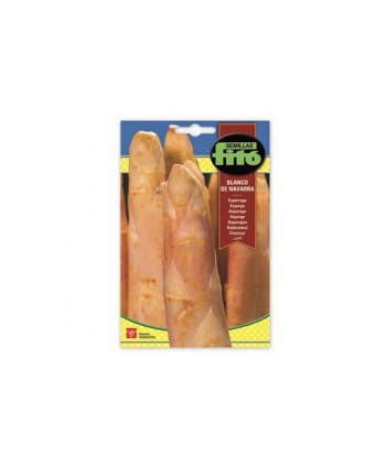 SB ESPARRAGO BLANCO DE NAVARRA