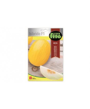 SB MELON MESOL HIBRIDO