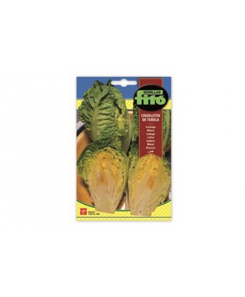 SB LECHUGA COGOLLITOS DE TUDELA