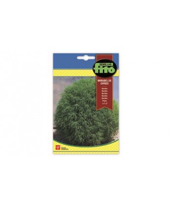 SB KOCHIA MIRABEL DE CIPRES