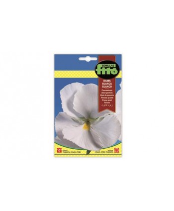 SB PENSAMIENTO DAMA BLANCA, BLANCO