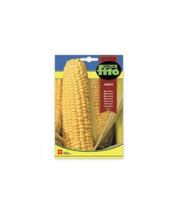 SB MAIZ DULCE JUBILEE