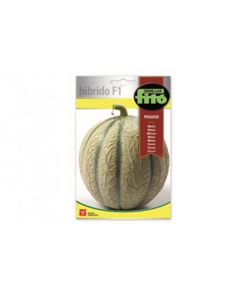 SB MELON PICASSO HIBRIDO F1