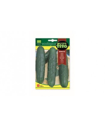 SB PEPINO MARKETER ECOLOGICA