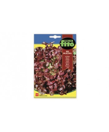 SB LECHUGA RED SALAD BALL