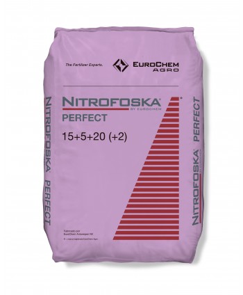 NITROFOSKA PERFEKT - 25 KG