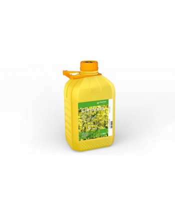 CLERANDA - 5L 