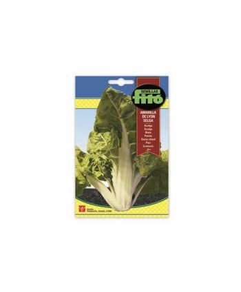 SB ACELGA AMARILLA DE LYON SELGA