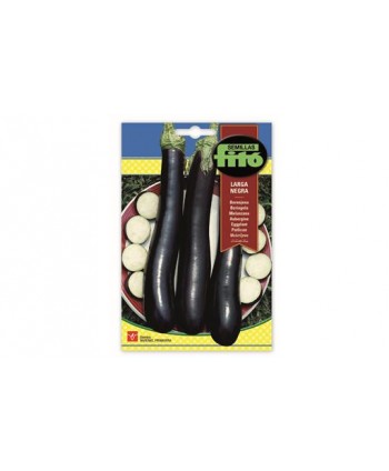 SB BERENJENA LARGA NEGRA