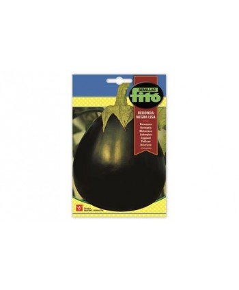 SB BERENJENA REDONDA RONDE VALENCE