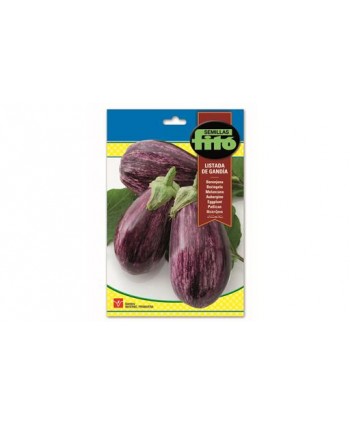 SB BERENJENA LISTADA DE GANDIA