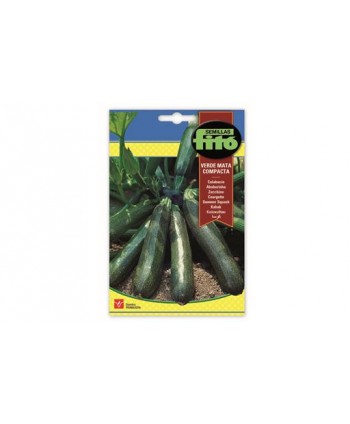 SB CALABACIN LARGO VERDE MATA COMPACTA