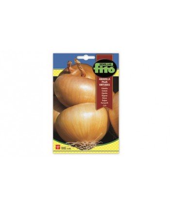 SB CEBOLLA AMARILLA PAJA VIRTUDES