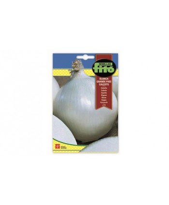 SB CEBOLLA BLANCA GRANDE PAÍS - CALÇOTS