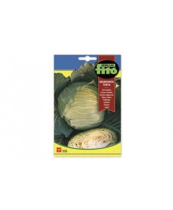 SB COL REPOLLO BRUNSWICK-TENTA