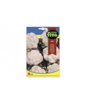 SB COLIFLOR ALBA