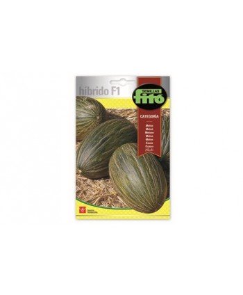 SB MELON CATEGORIA HIBRIDO F1