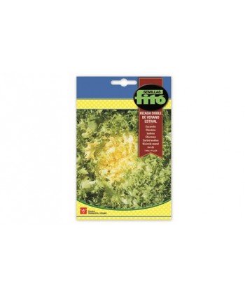 SB ESCAROLA RIZADA DOBLE VERANO ESTIVAL