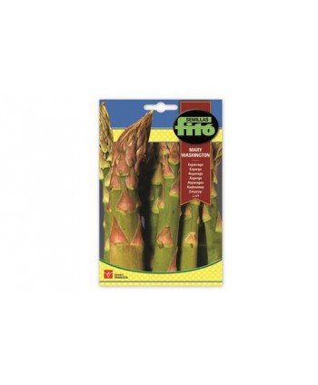 SB ESPARRAGO MARY WASHINGTON