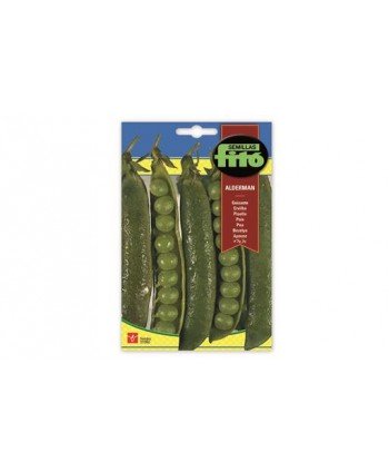 SB GUISANTE ALDERMAN