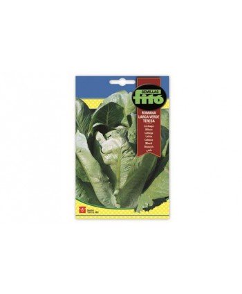 SB LECHUGA ROMANA LARGA VERDE TERESA