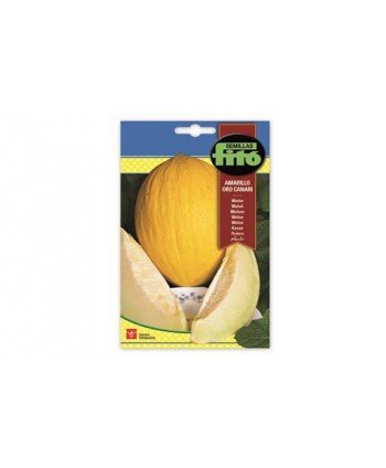 SB MELON AMARILLO ORO CANARI