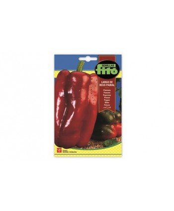 SB PIMIENTO LARGO DE REUS PAIRAL