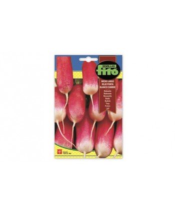 SB RABANITO MEDIO-LARGO ROJO PUNTA BLANCA CUMBRE