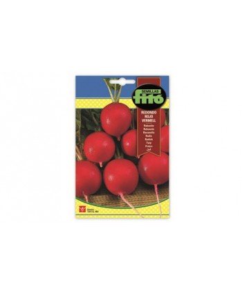 SB RABANITO REDONDO ROJO VERMELL