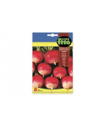 SB RABANITO REDONDO ROJO PUNTA BLANCA ICEBERG