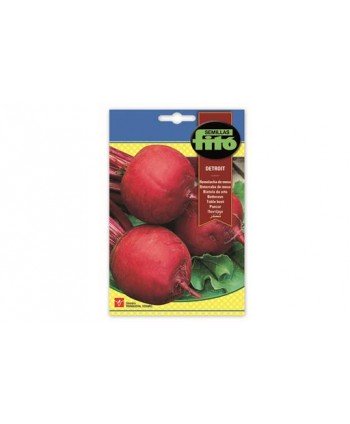 SB REMOLACHA DE MESA DETROIT